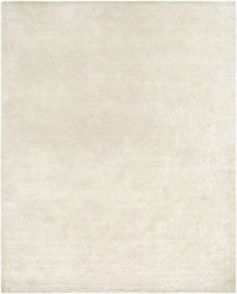 Addison ADD-2305 Handmade Rug