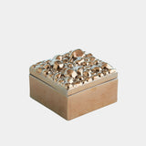 Arno Pebbles Box in Bronze, close-up detail