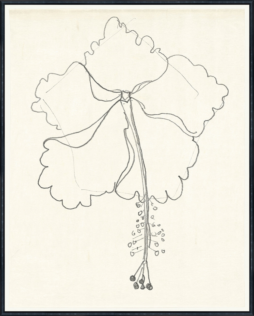 Loose Petal Sketch, art print (glass framed), full view