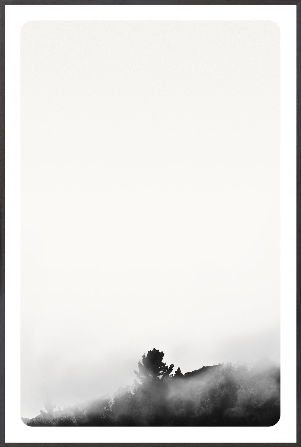 Celadon Art Photograph