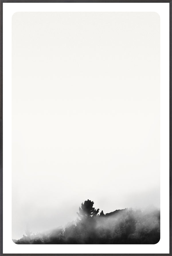 Celadon Art Photograph