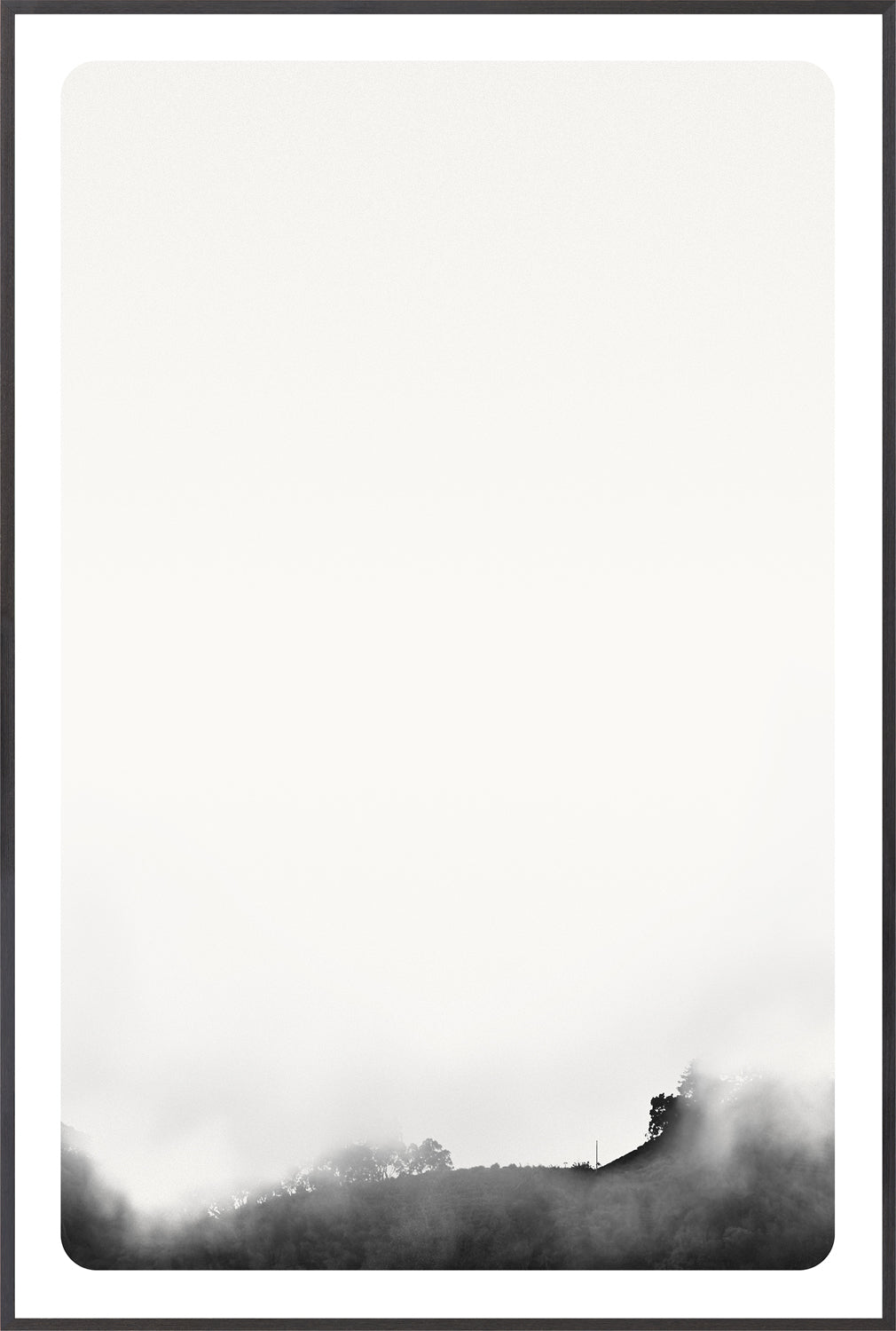 Celadon Art Photograph