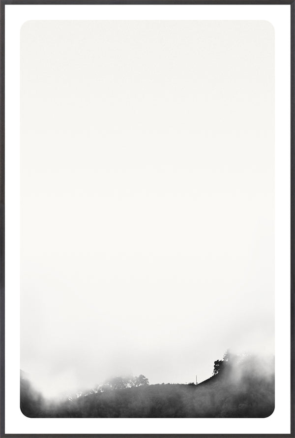 Celadon Art Photograph