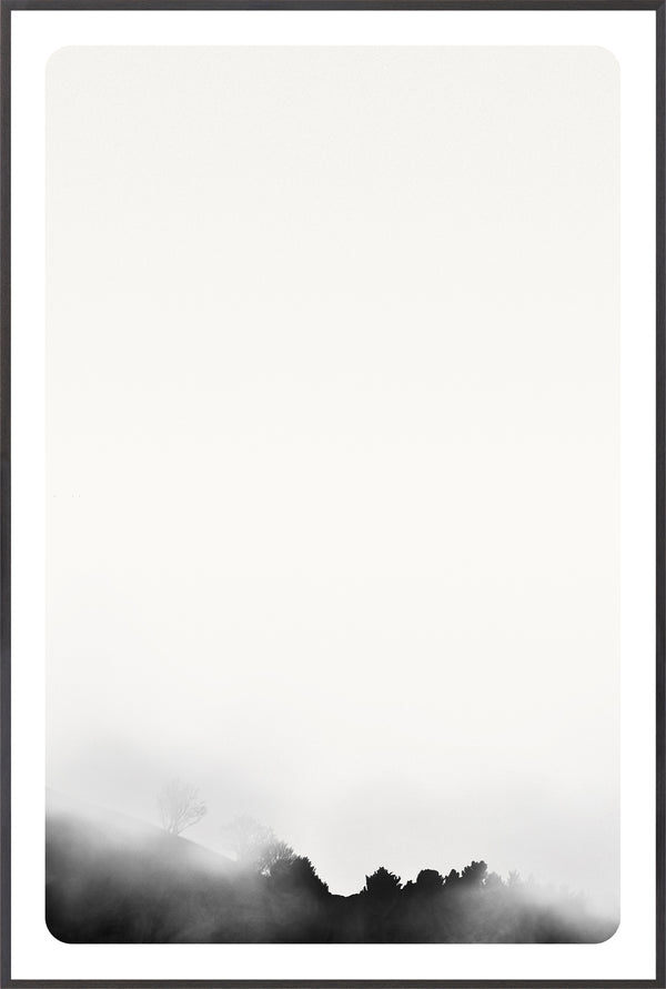 Celadon Art Photograph