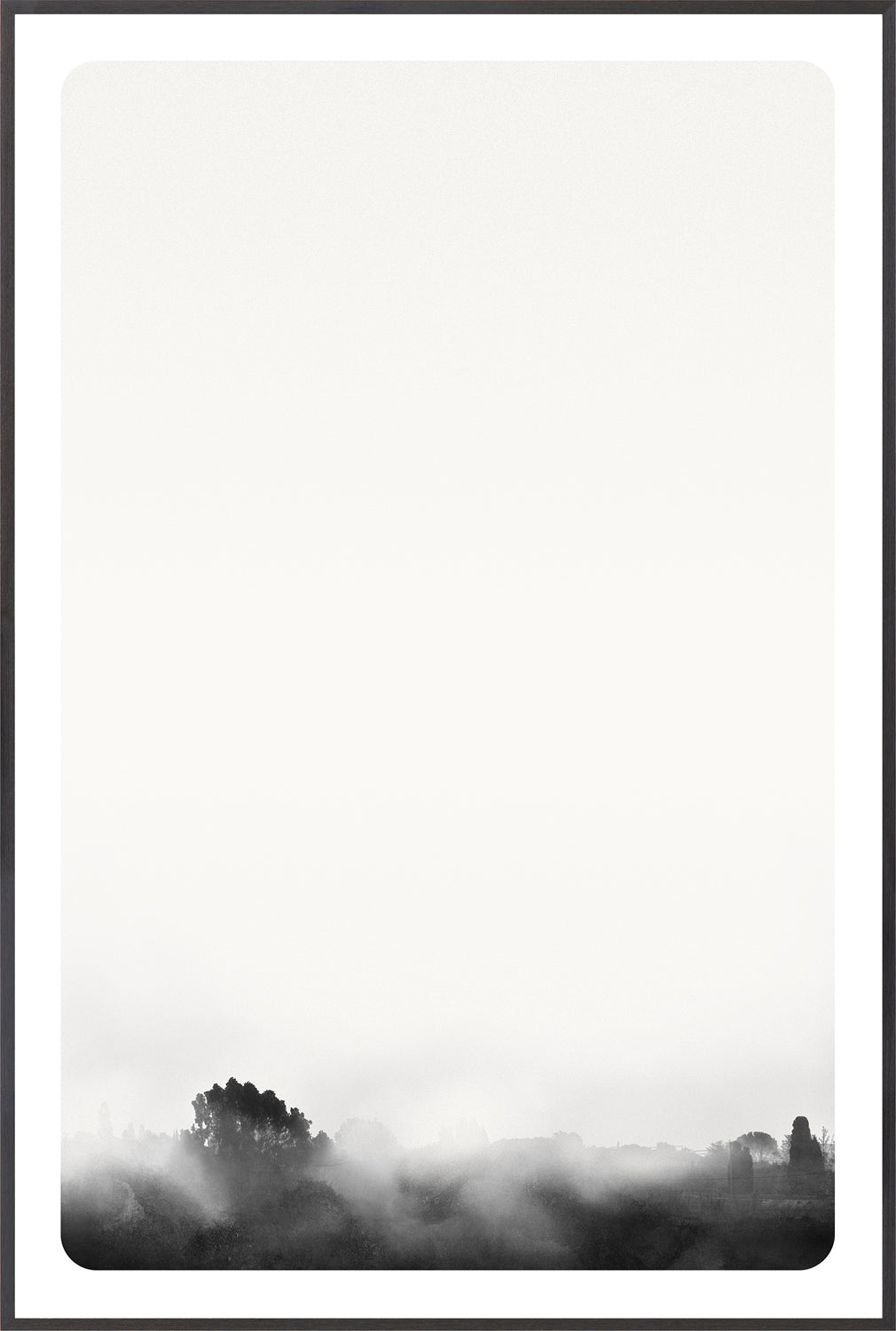 Celadon Art Photograph