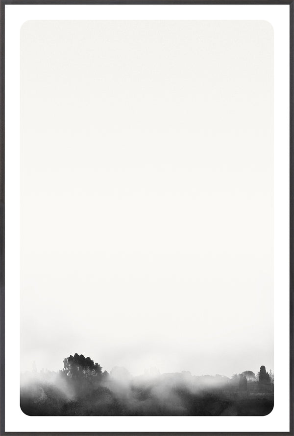 Celadon Art Photograph