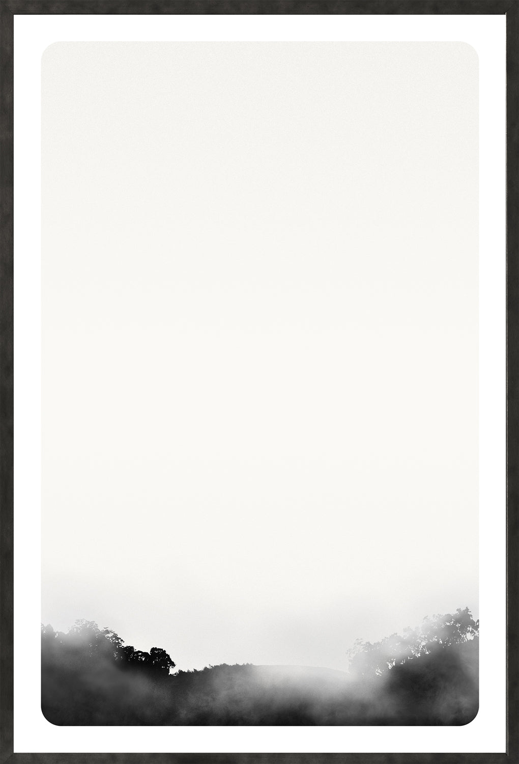 Celadon Art Photograph