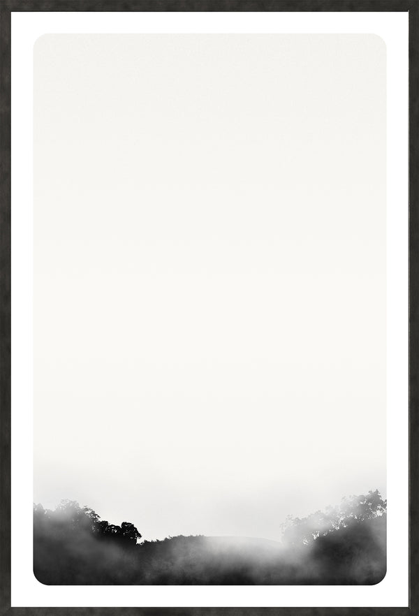 Celadon Art Photograph