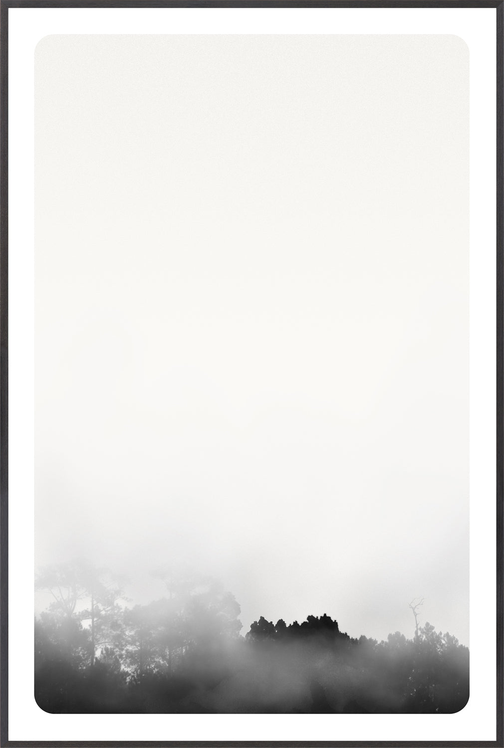 Celadon Art Photograph