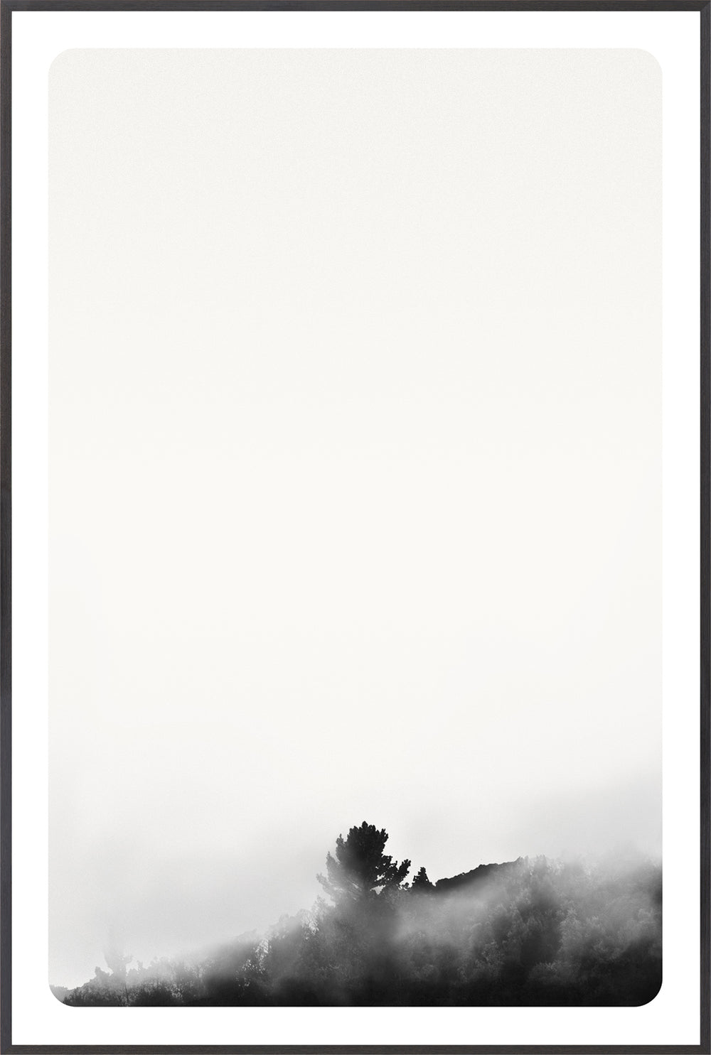 Treeline in Fog