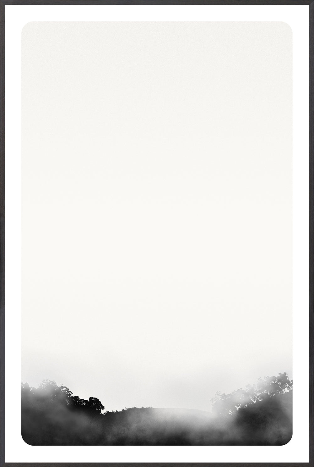 Fog Over Treeline