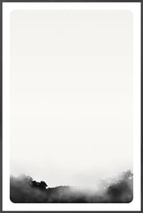 Fog Over Treeline