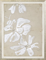 Botanical Study in White