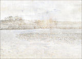 Hazy Shoreline
