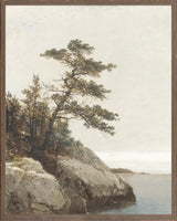 Windswept Pine, Coastal Bluff, art print (on board), full view