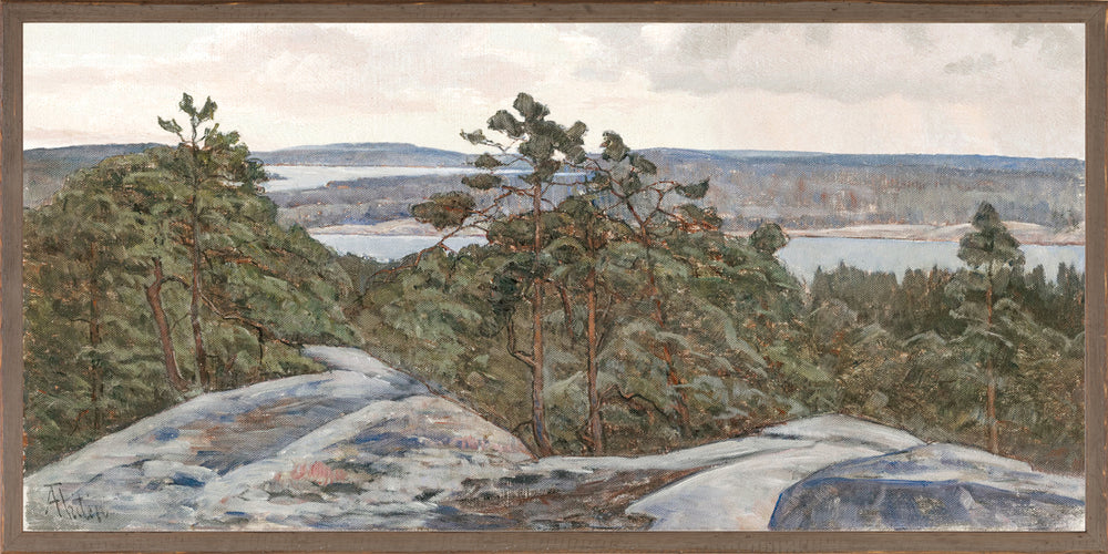 Pines Over the Shoreline