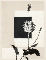 Botanical Contrast Study
