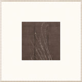 Sparrow Among Reeds