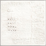 Textured Plaster Fragment