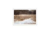 Misted Shoreline