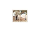 Sunlit Loggia Shade