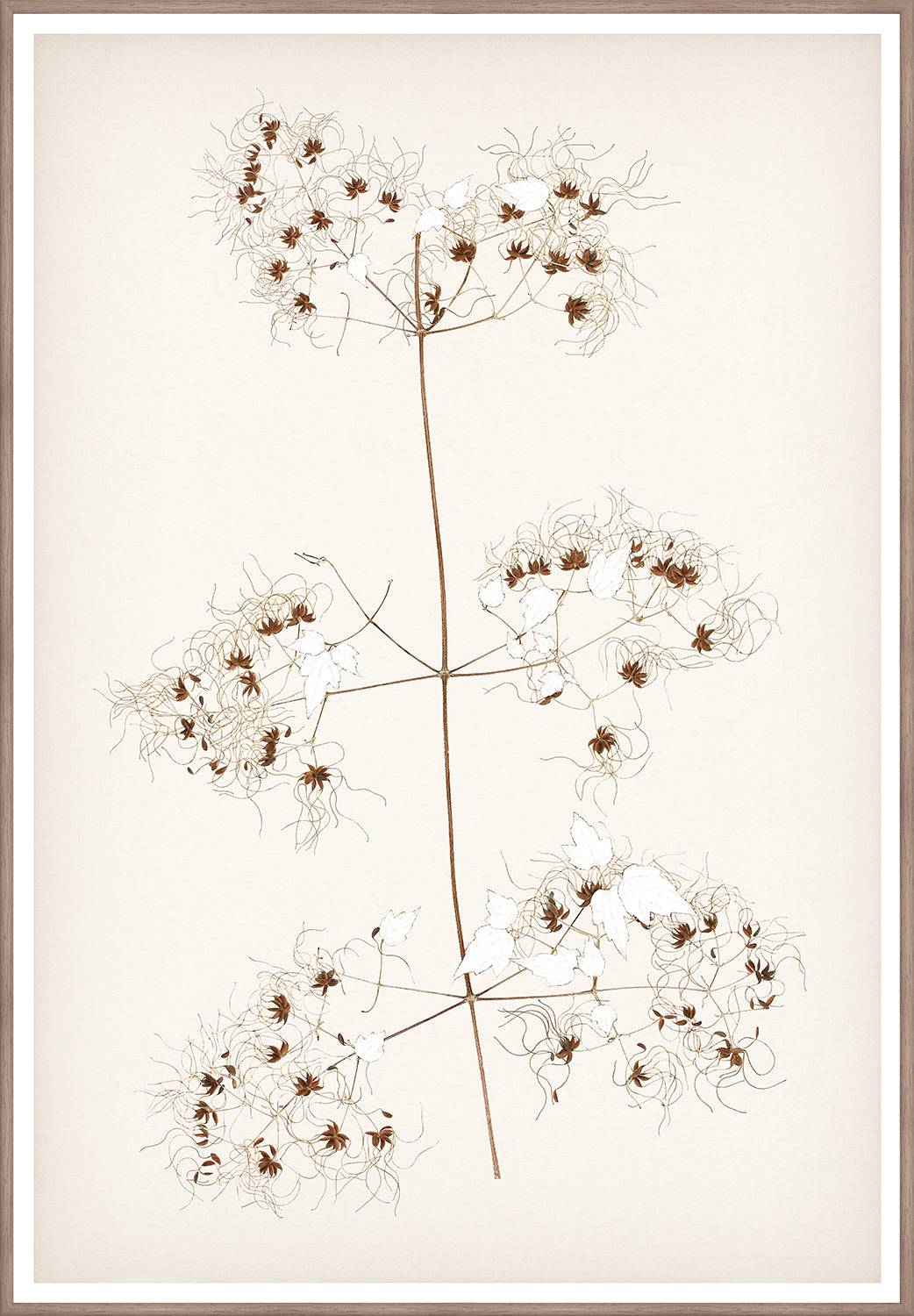 Celadon Art Wall Art Print