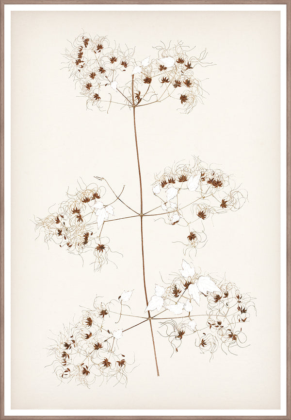 Celadon Art Wall Art Print