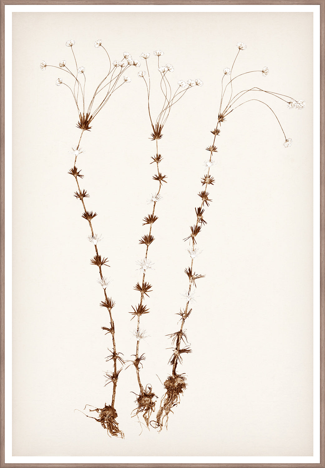 Celadon Art Wall Art Print