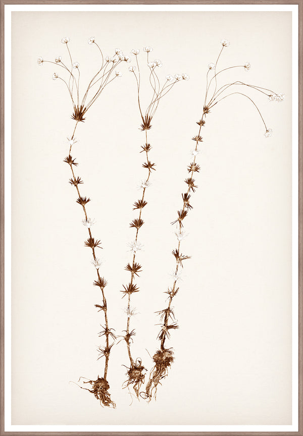 Celadon Art Wall Art Print