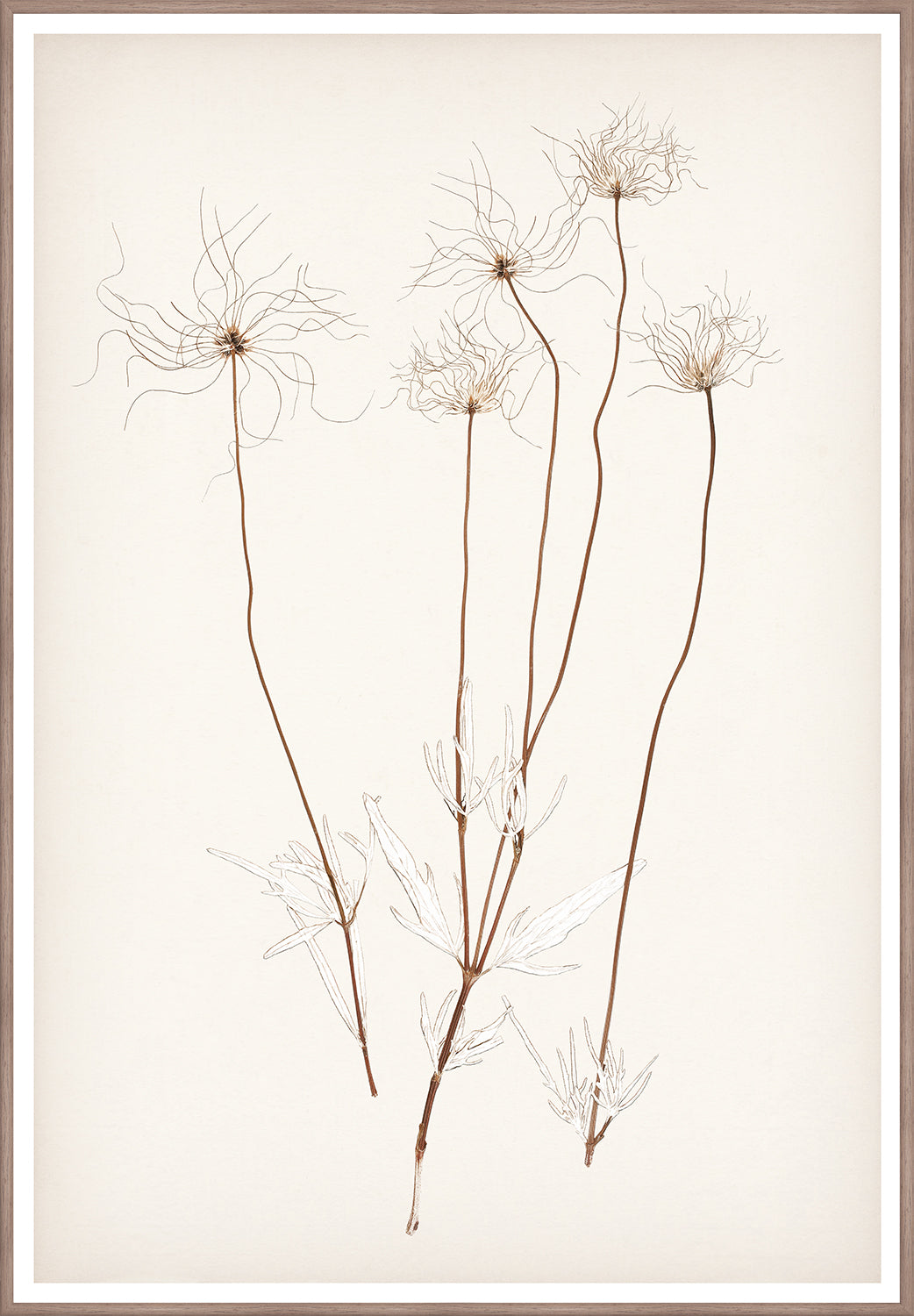 Celadon Art Wall Art Print