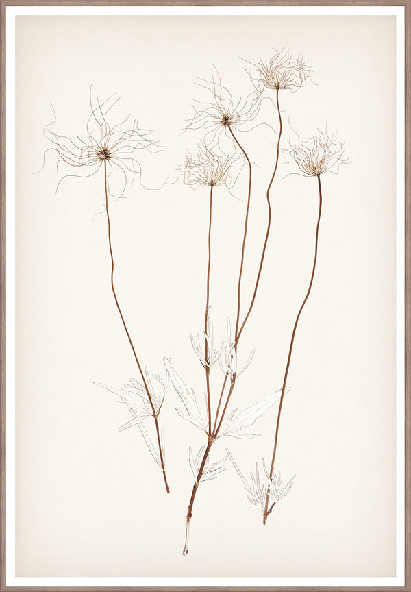 Celadon Art Wall Art Print
