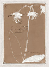 French Floral Dossier II C. 1860