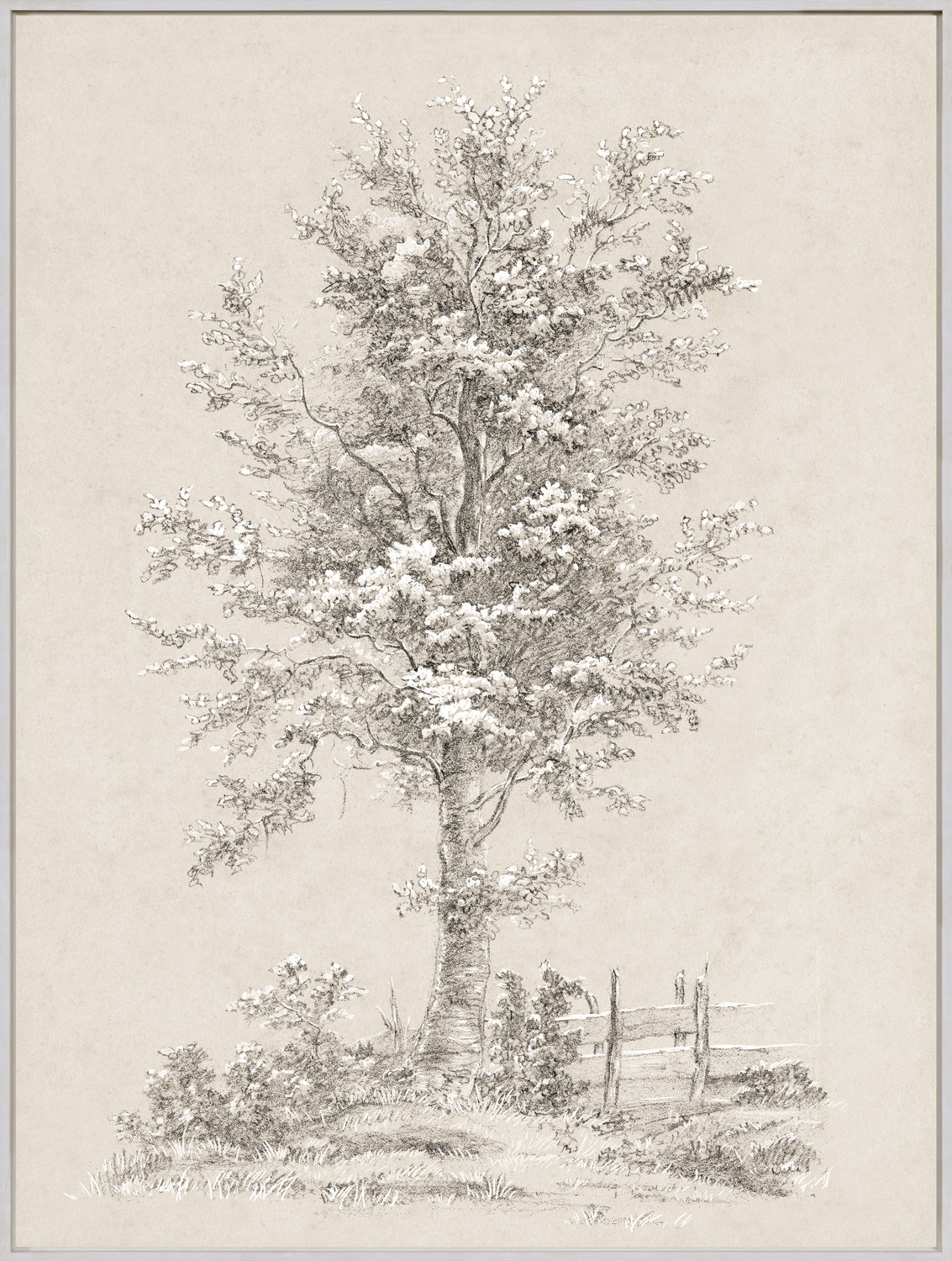 Celadon Art Wall Art Print