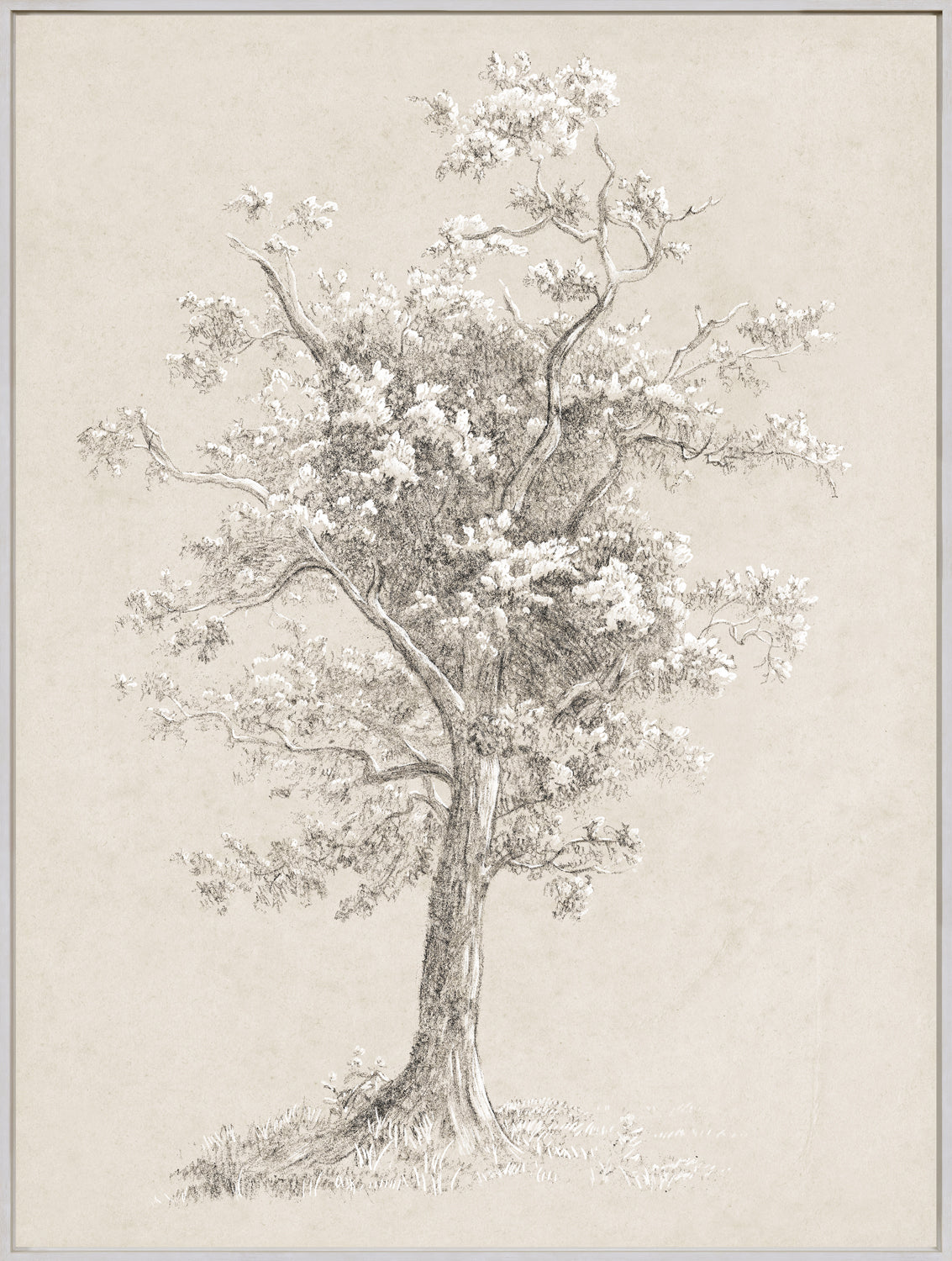 Celadon Art Wall Art Print