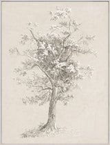 Blossoming Tree Study, art print, full view