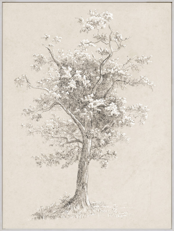 Celadon Art Wall Art Print