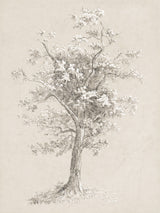 Blossoming Tree Study