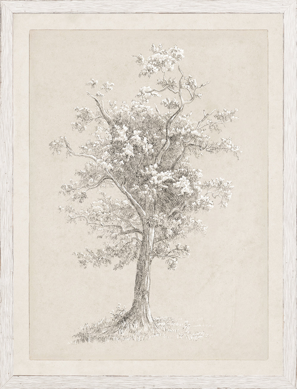 Blossoming Tree Study