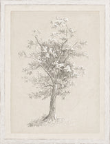 Blossoming Tree Study