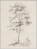 Solitary Sketched Tree, art print, full view