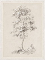 Solitary Sketched Tree