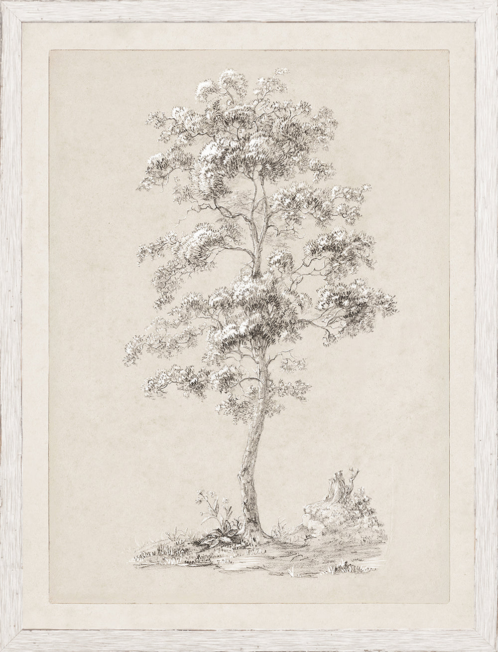 Solitary Sketched Tree