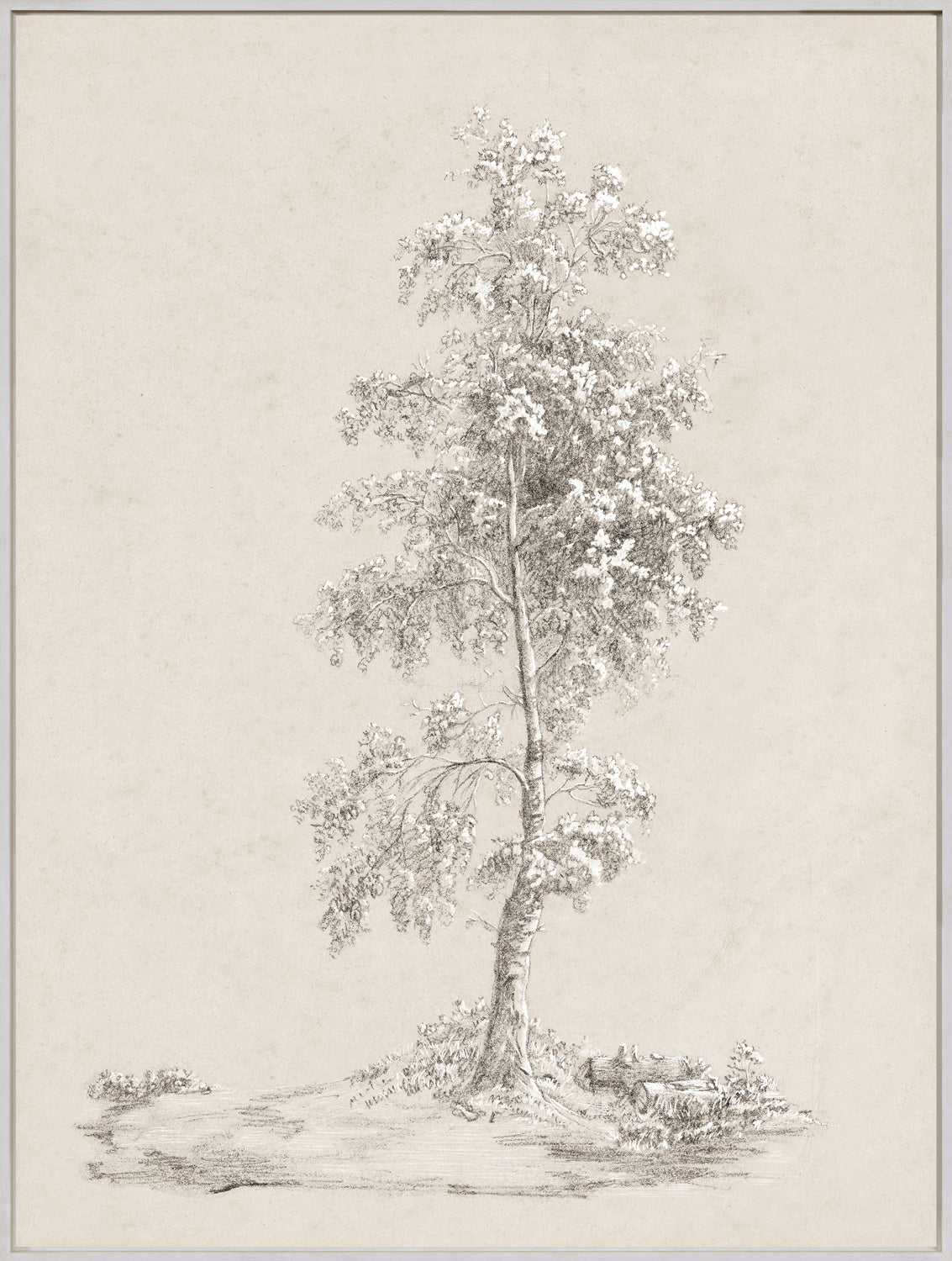 Celadon Art Wall Art Print