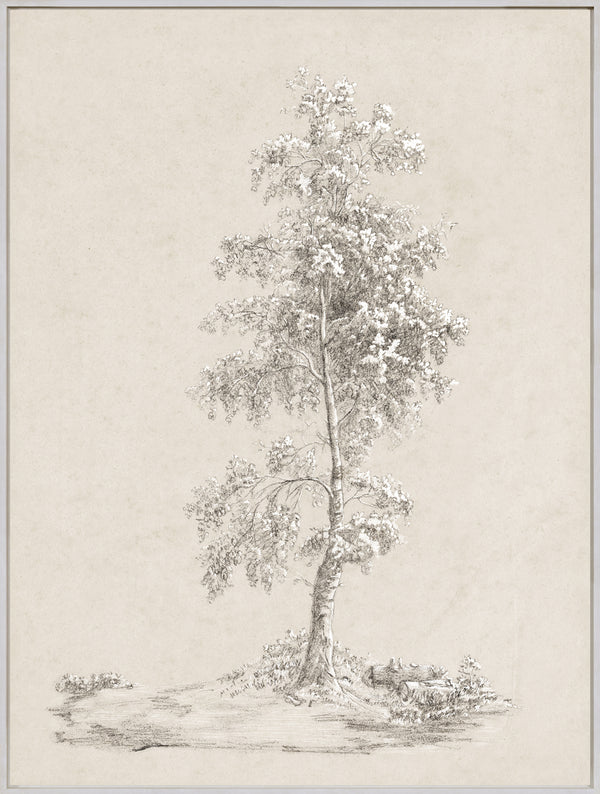 Celadon Art Wall Art Print