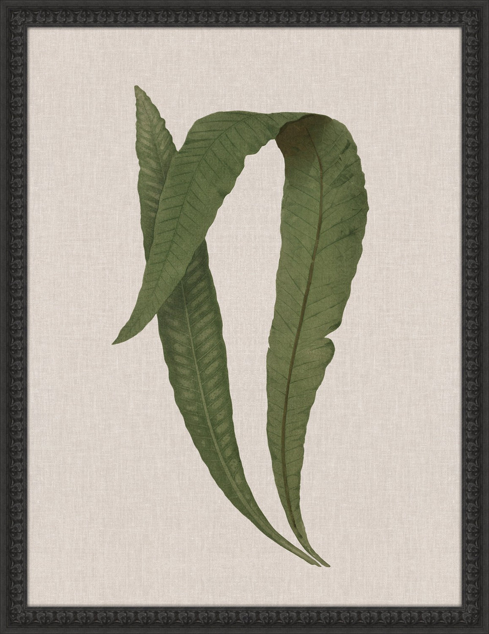 Vintage Fern Leaf, print on board art, full view