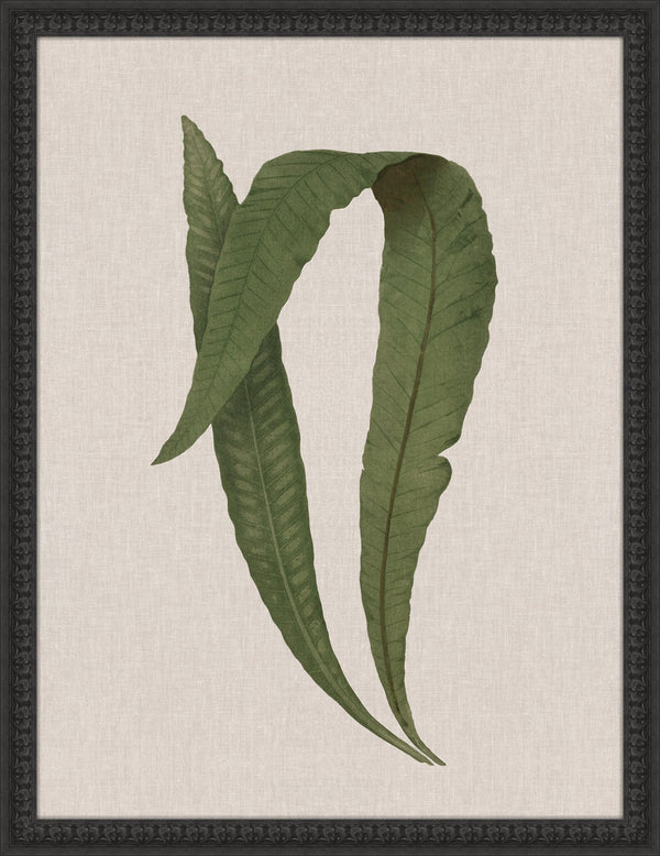 Vintage Fern Leaf, print on board art, full view