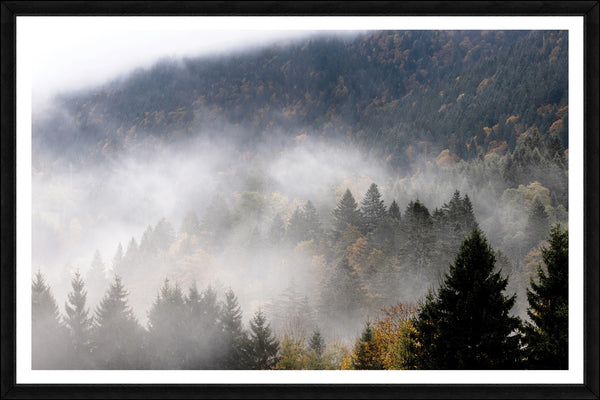 Pine Mist, glass framed art, full view