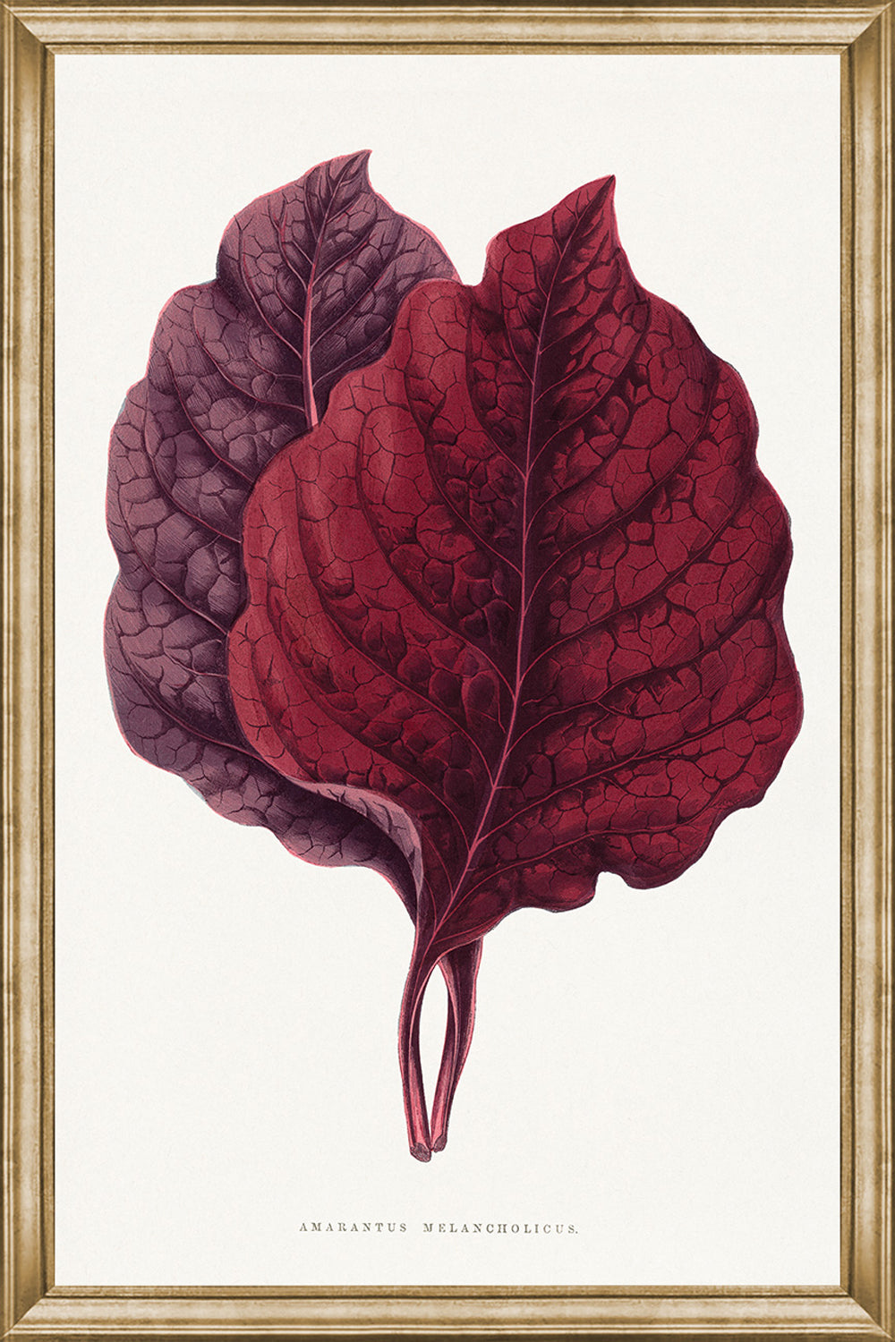 Burgundy Leaves I, glass framed art, full view
