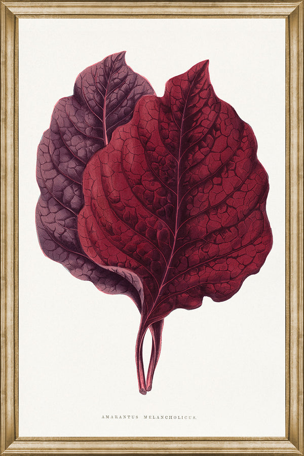 Burgundy Leaves I, glass framed art, full view