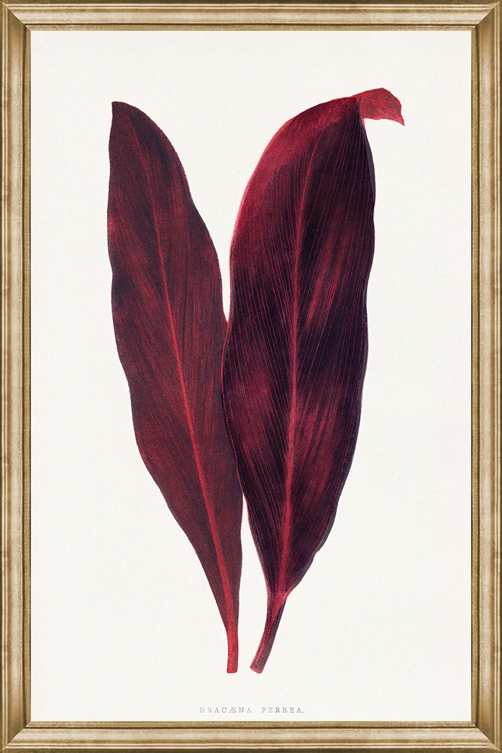 Burgundy Leaves II, glass framed art, full view